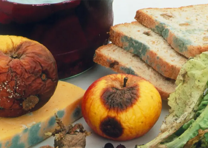 上海食品銷毀實(shí)施方案 上海食品銷毀實(shí)施方案