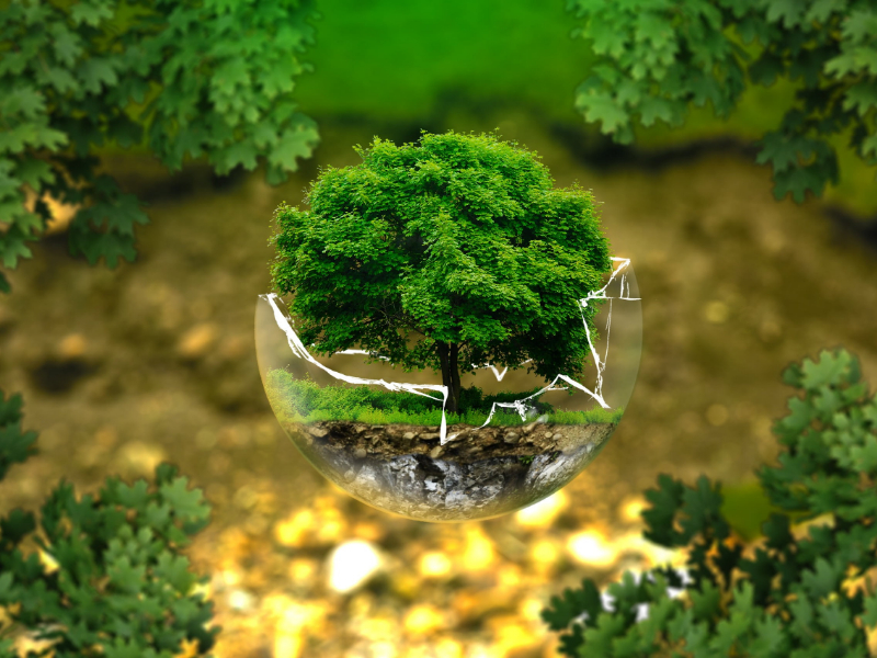 臨期的奶粉可以喝嗎？|過期奶粉銷毀